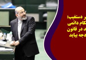 دکتر دستغیب: احکام دائمی نباید در قانون بودجه بیاید